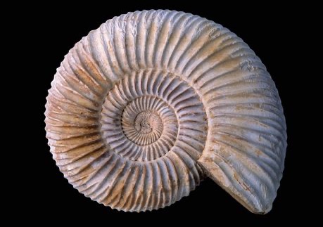 Photo de Georges MERMIN