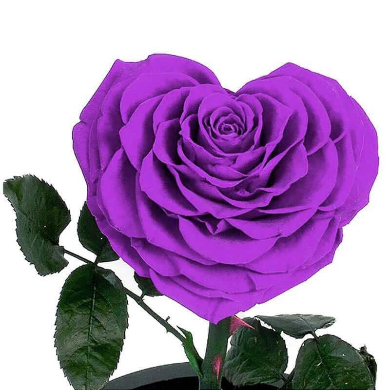 Photo de Josette TILLMANN