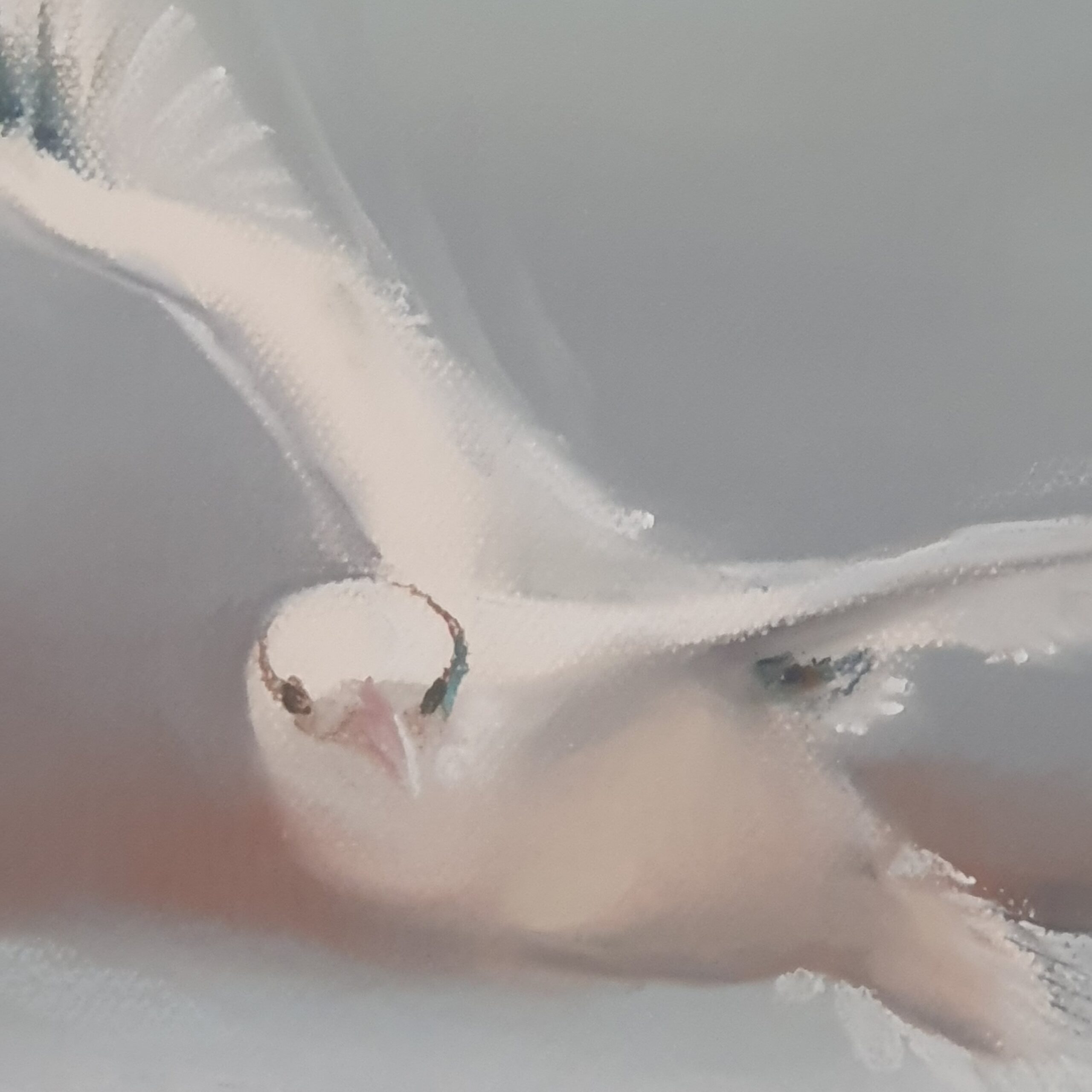 Photo de Gérard LE ROI