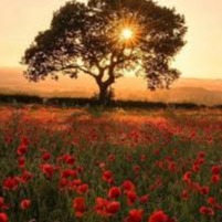 Photo de Jeannine FALCO